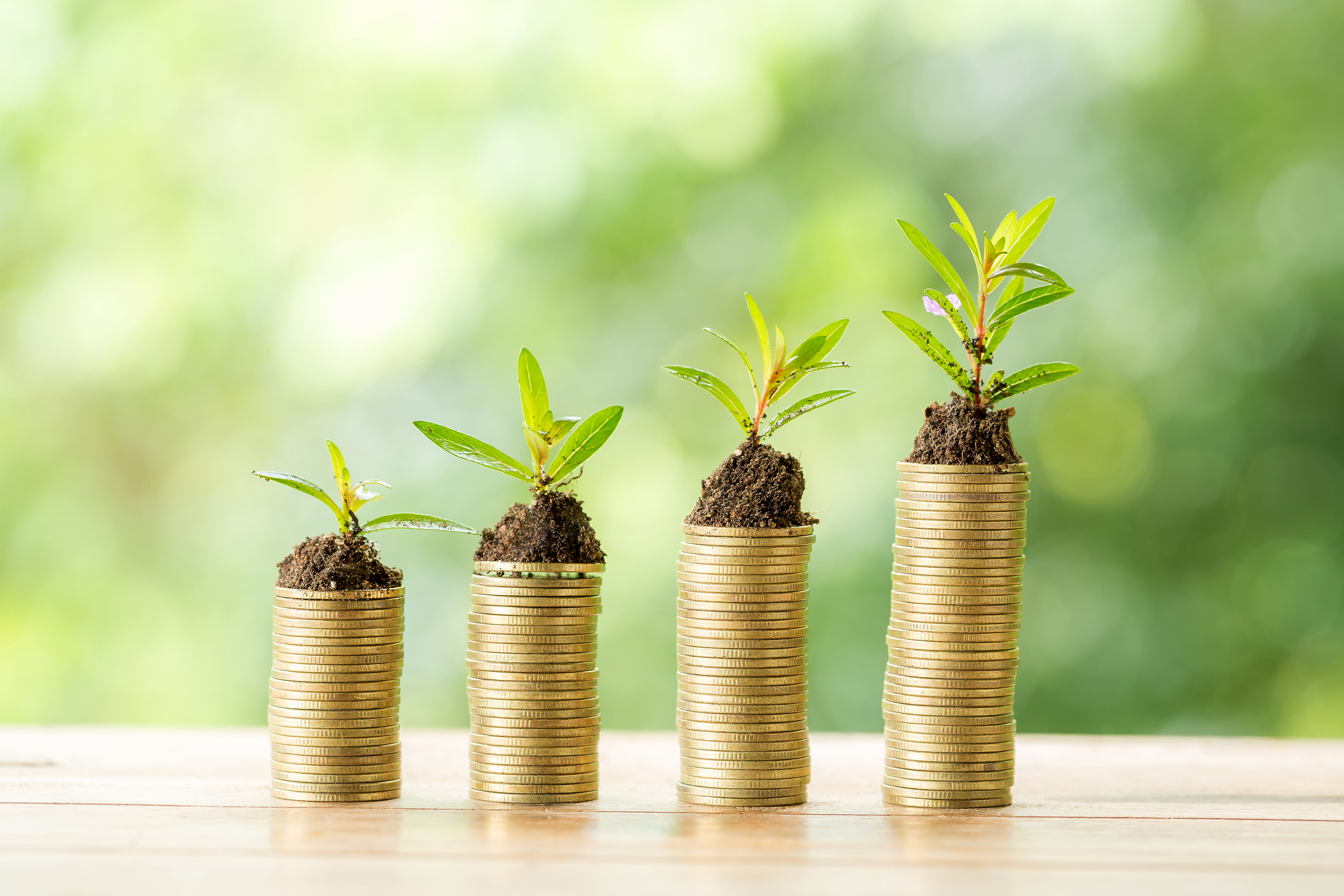 How Hard Money Loan Can Grow Your Income?