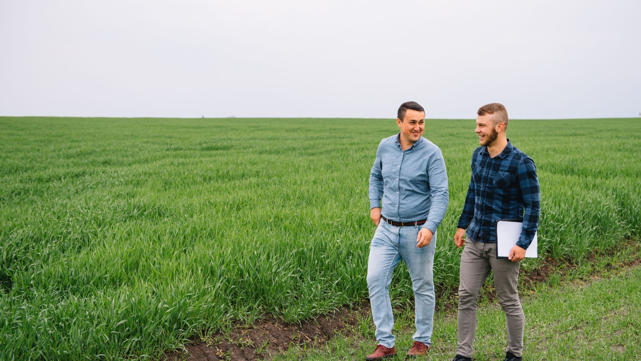 What Should You Know Before Applying for an Agriculture Loan for Purchase of Land?