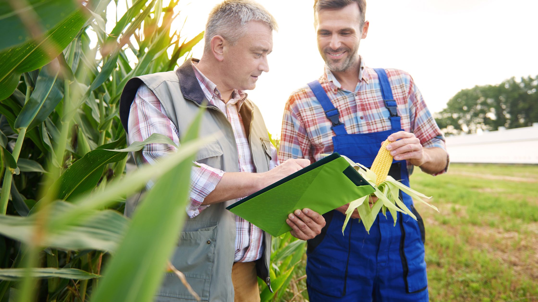 How to Qualify for an Agricultural Loan