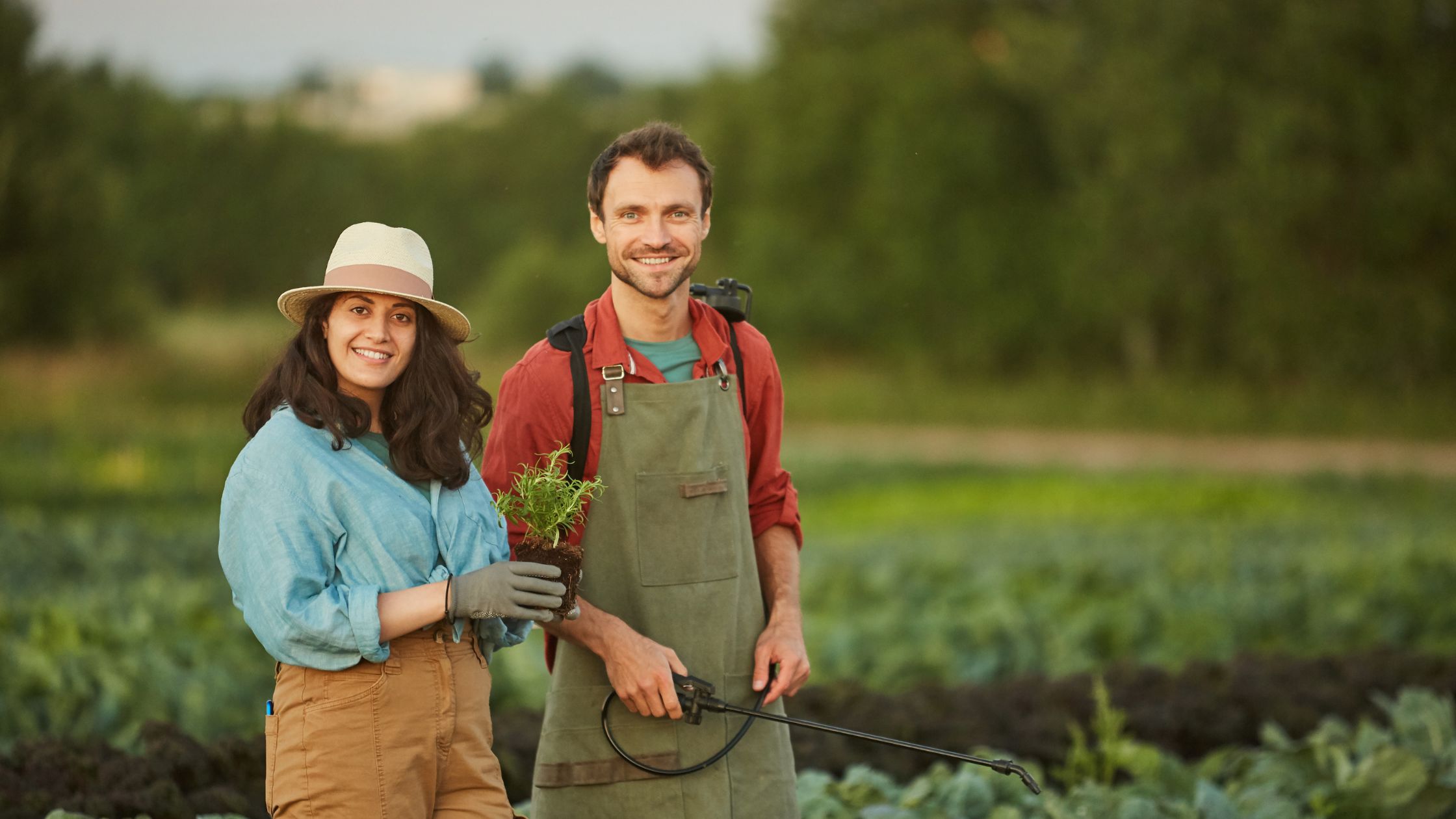 A Comprehensive Guide to Buying Land for Your Hobby Farm