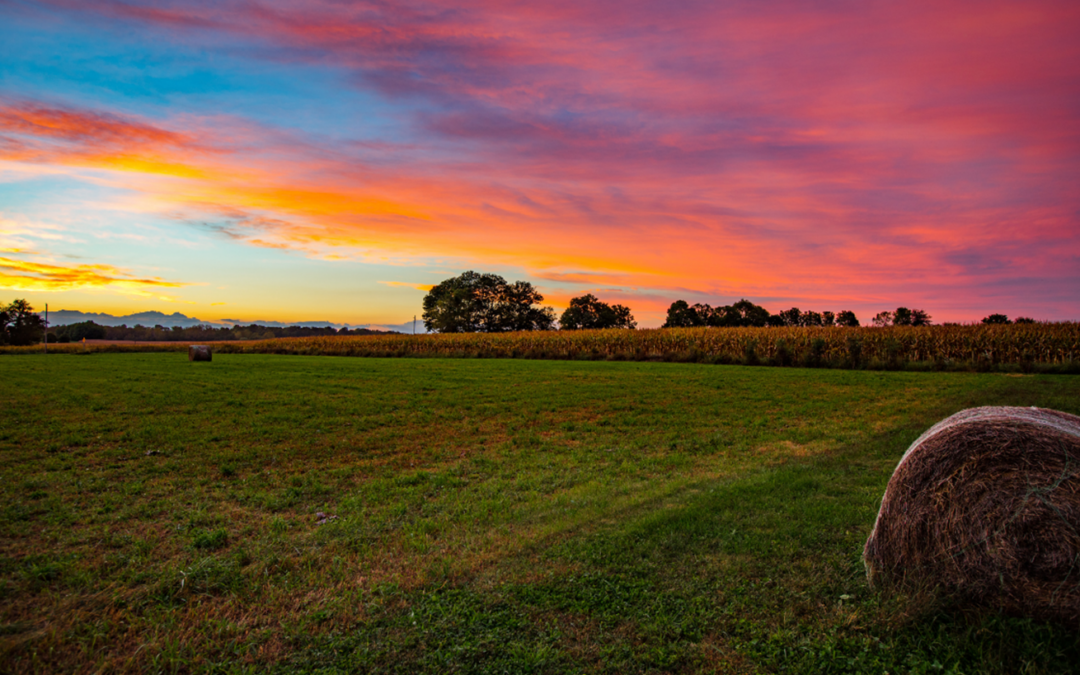 What to Expect on the Closing of Your Farm Land Loan