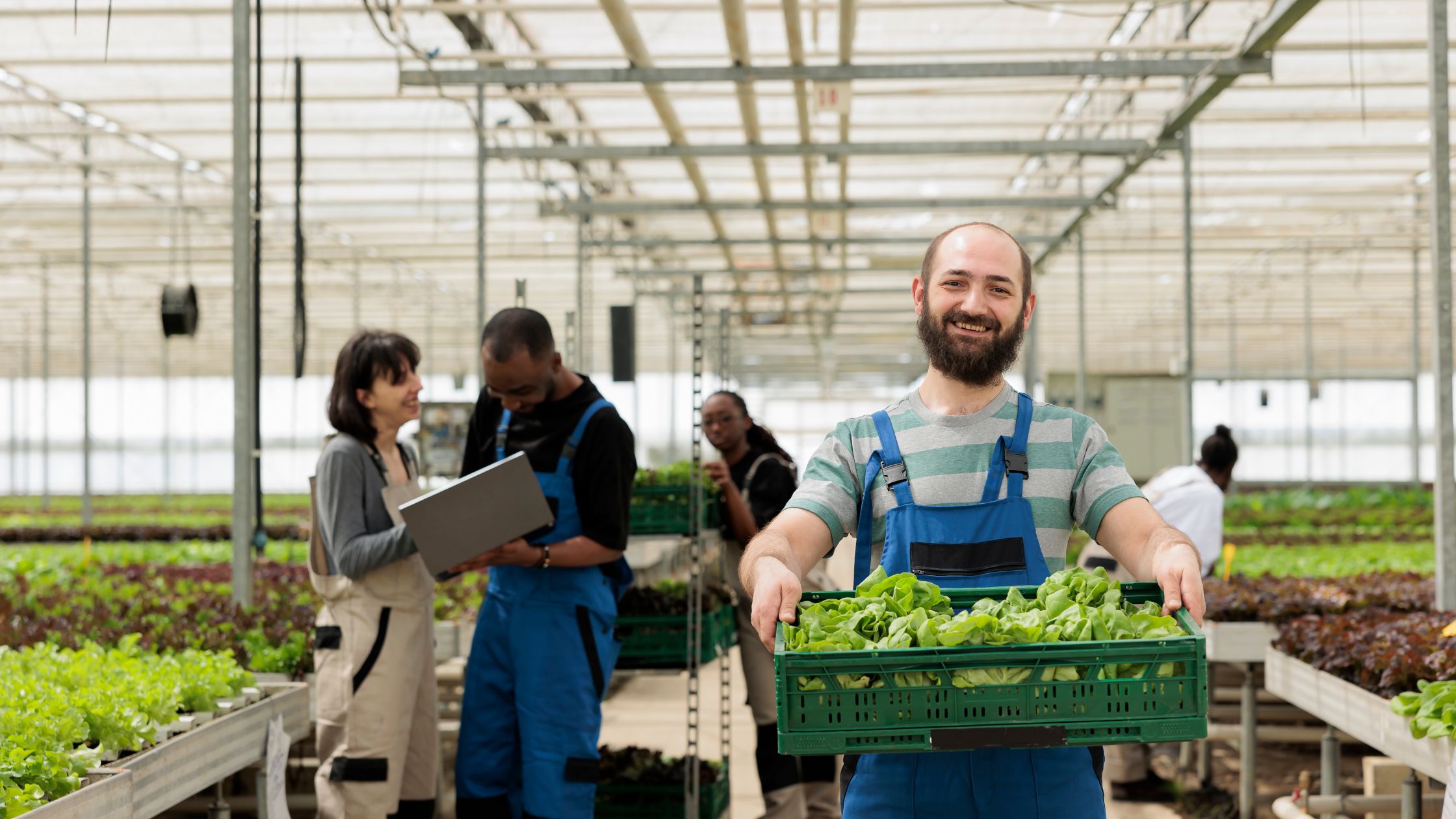 How to Qualify for an Orchard Loan to Grow Your Agricultural Business