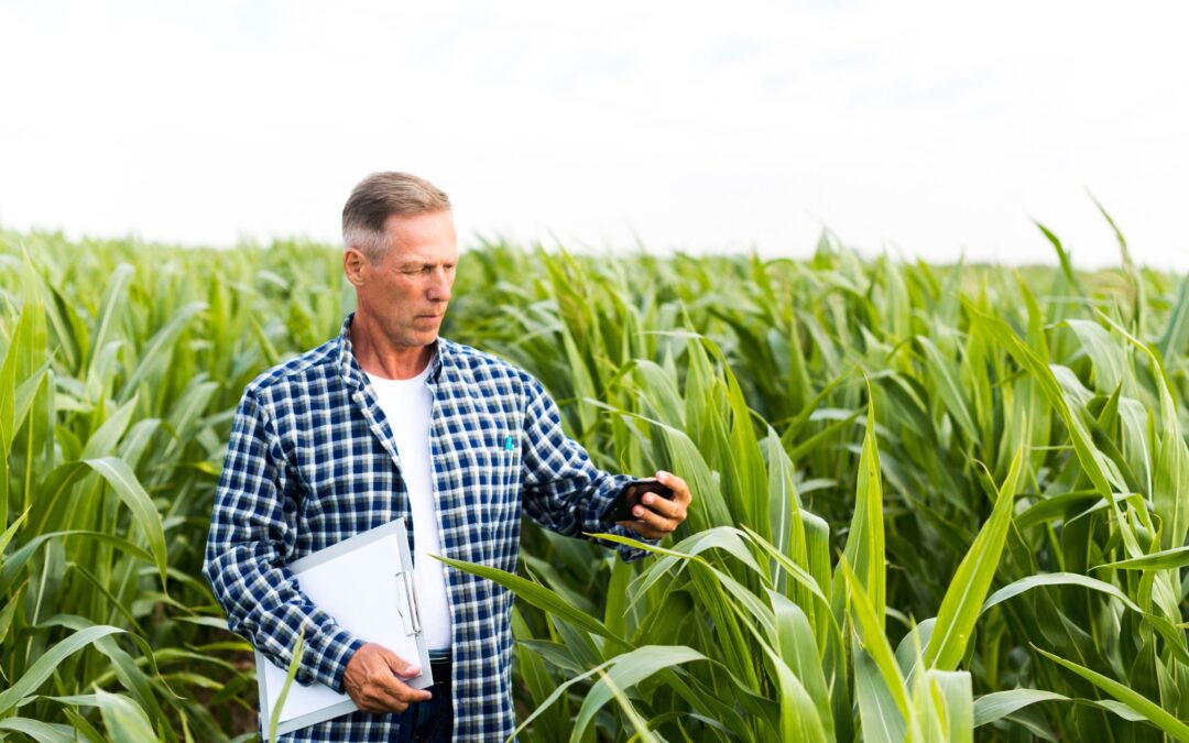 10 Ways Agricultural Loans Can Help Farmers Grow