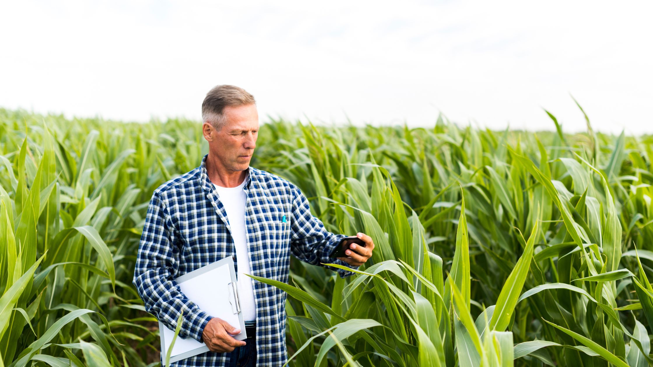 10 Ways Agricultural Loans Can Help Farmers Grow