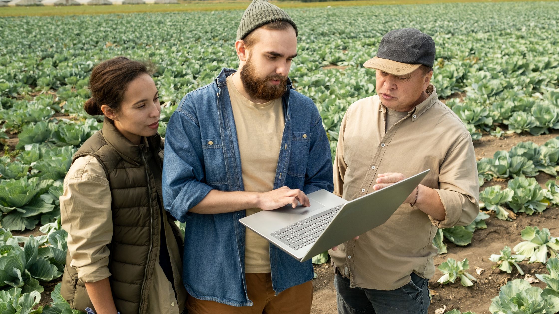 How to Get USDA Grants for Your Farm