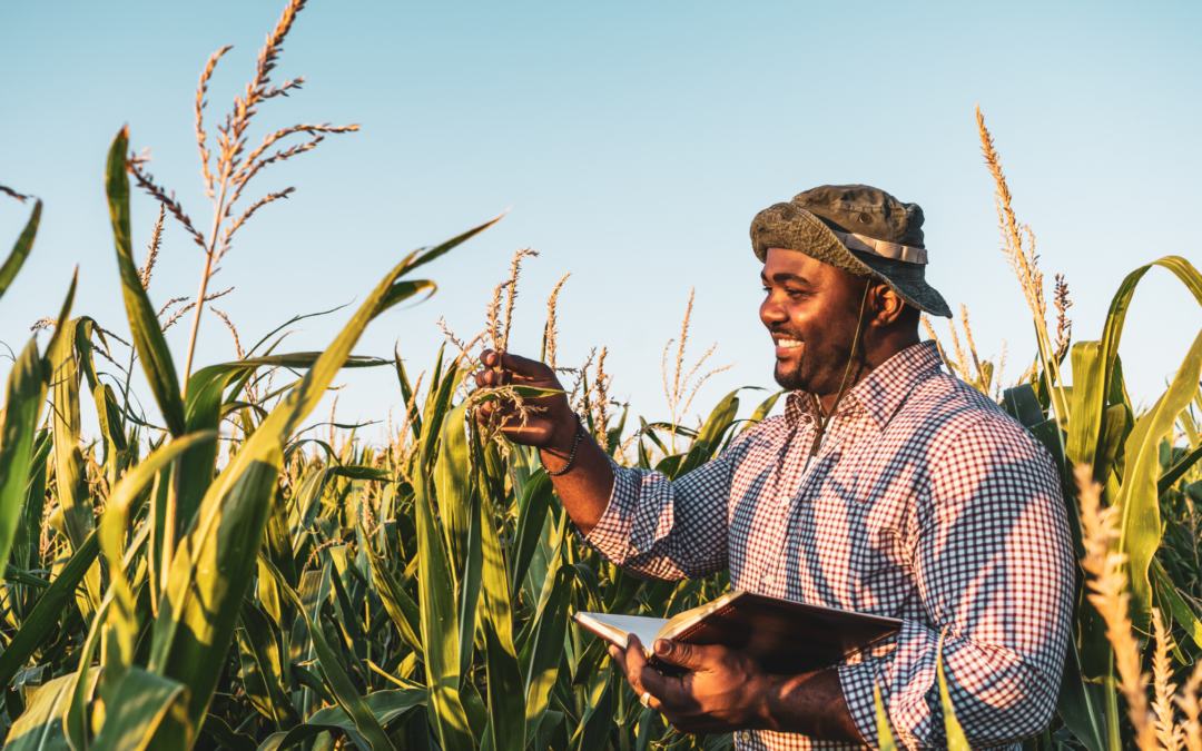 10 Ways Agricultural Loans Can Help Farmers Grow