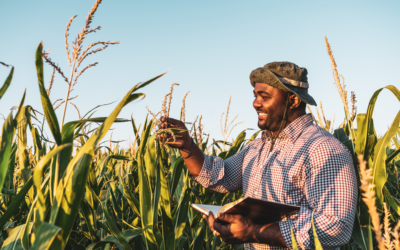 10 Ways An Agricultural Loans Can Help Farmers Grow