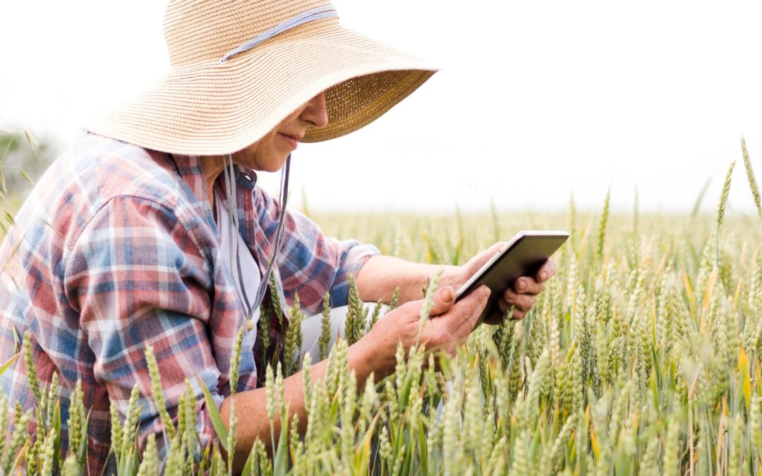 How to Refinance Your Farm Loan in Idaho: A Step-by-Step Guide