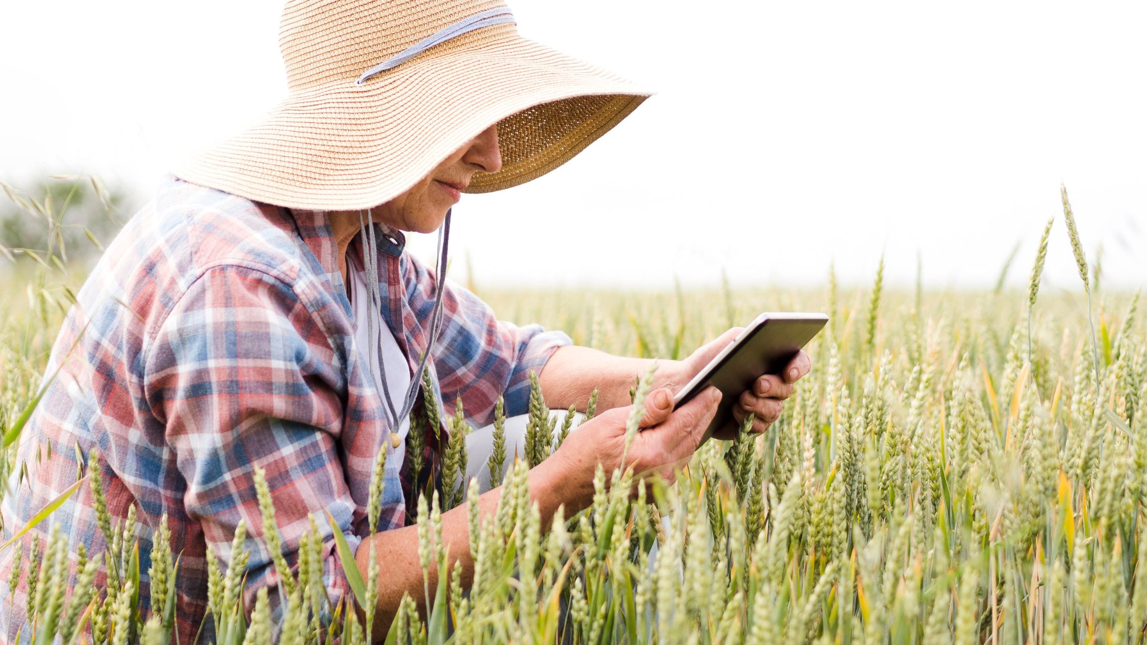 How to Refinance Your Farm Loan in Idaho: A Step-by-Step Guide