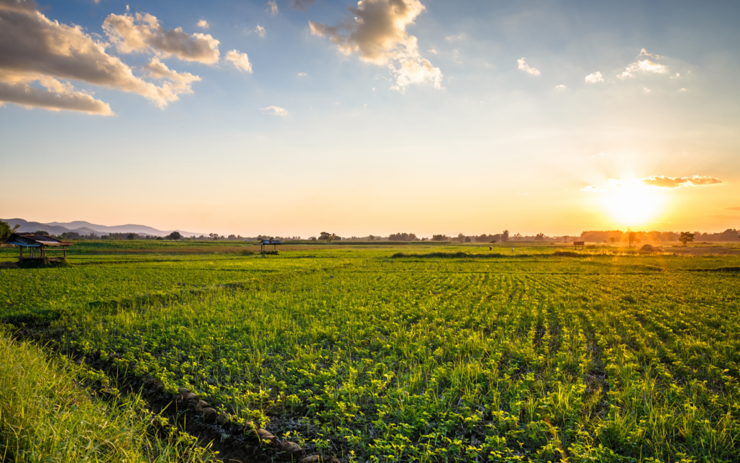 The Benefits of Taking Out a Farm Ownership Loan