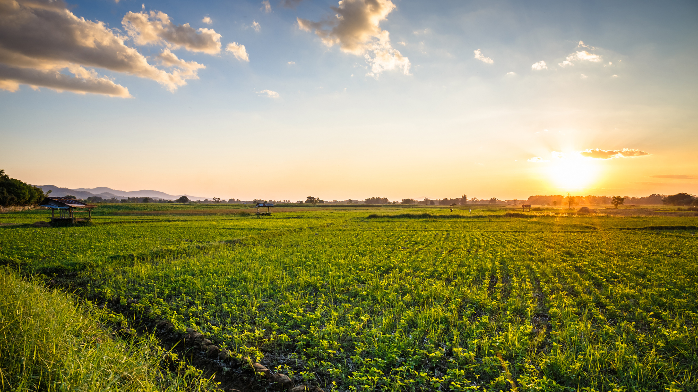 The Benefits of Taking Out a Farm Ownership Loan