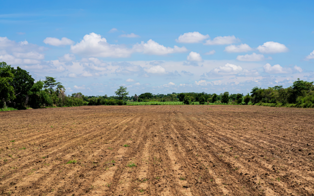 Common Mistakes to Avoid When Financing Rural Land Loans