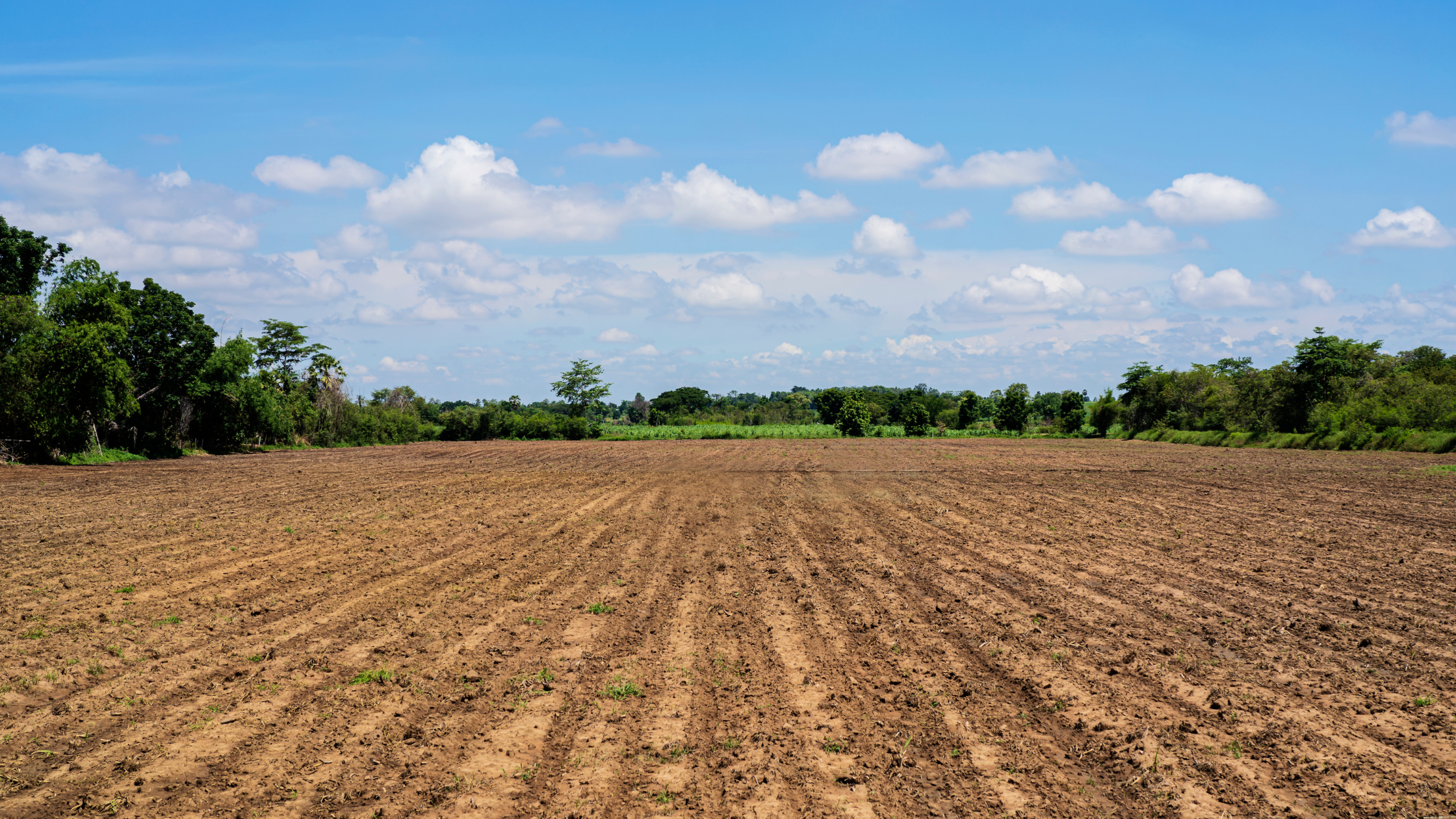 Land Loans