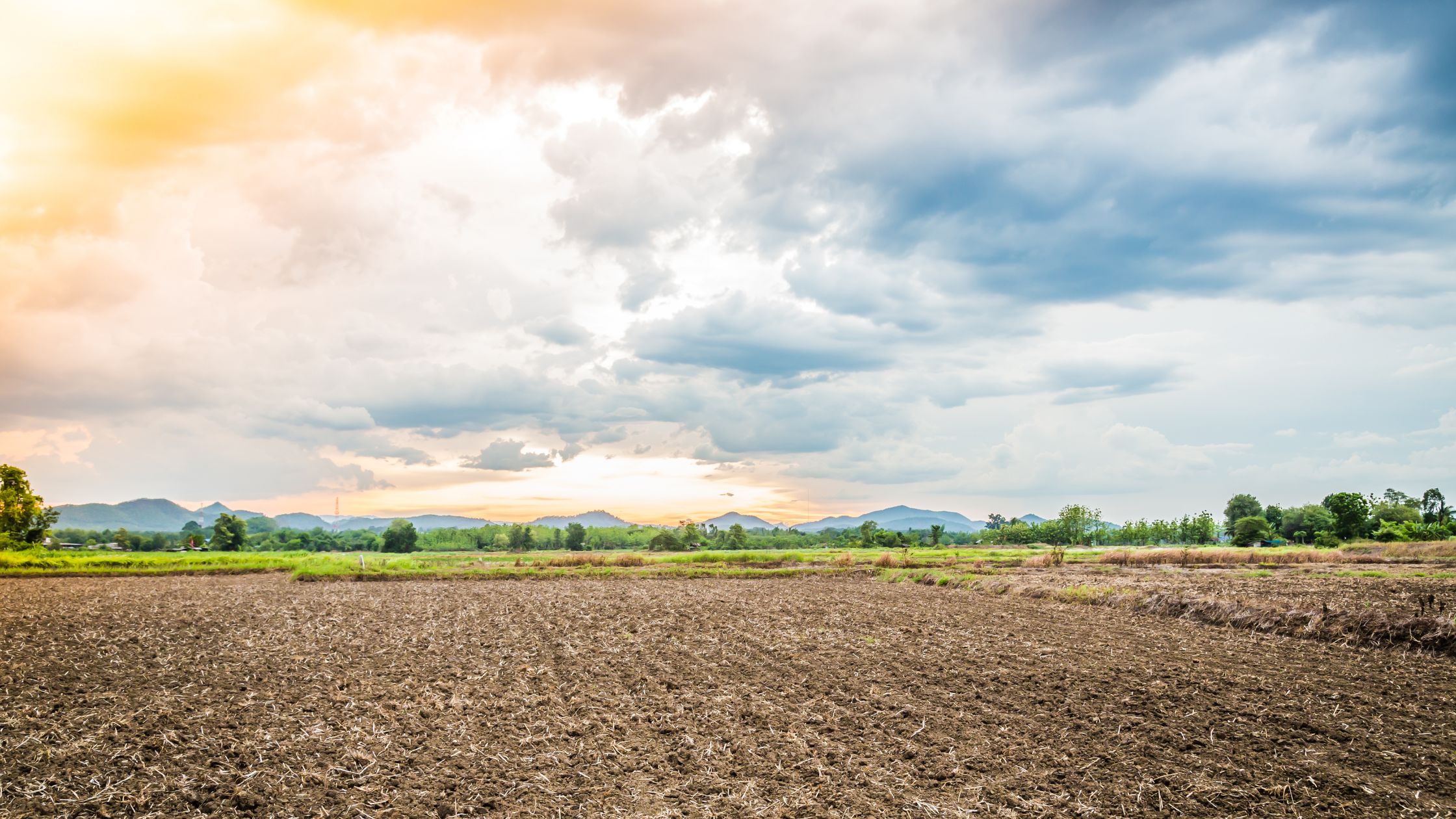 Common Mistakes to Avoid When Financing Rural Land Loans