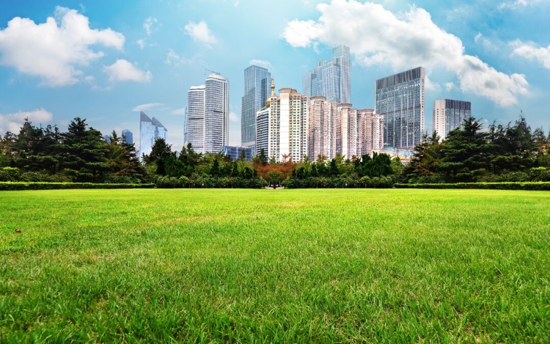 Understanding the Benefits and Risks of Investing in Commercial Land