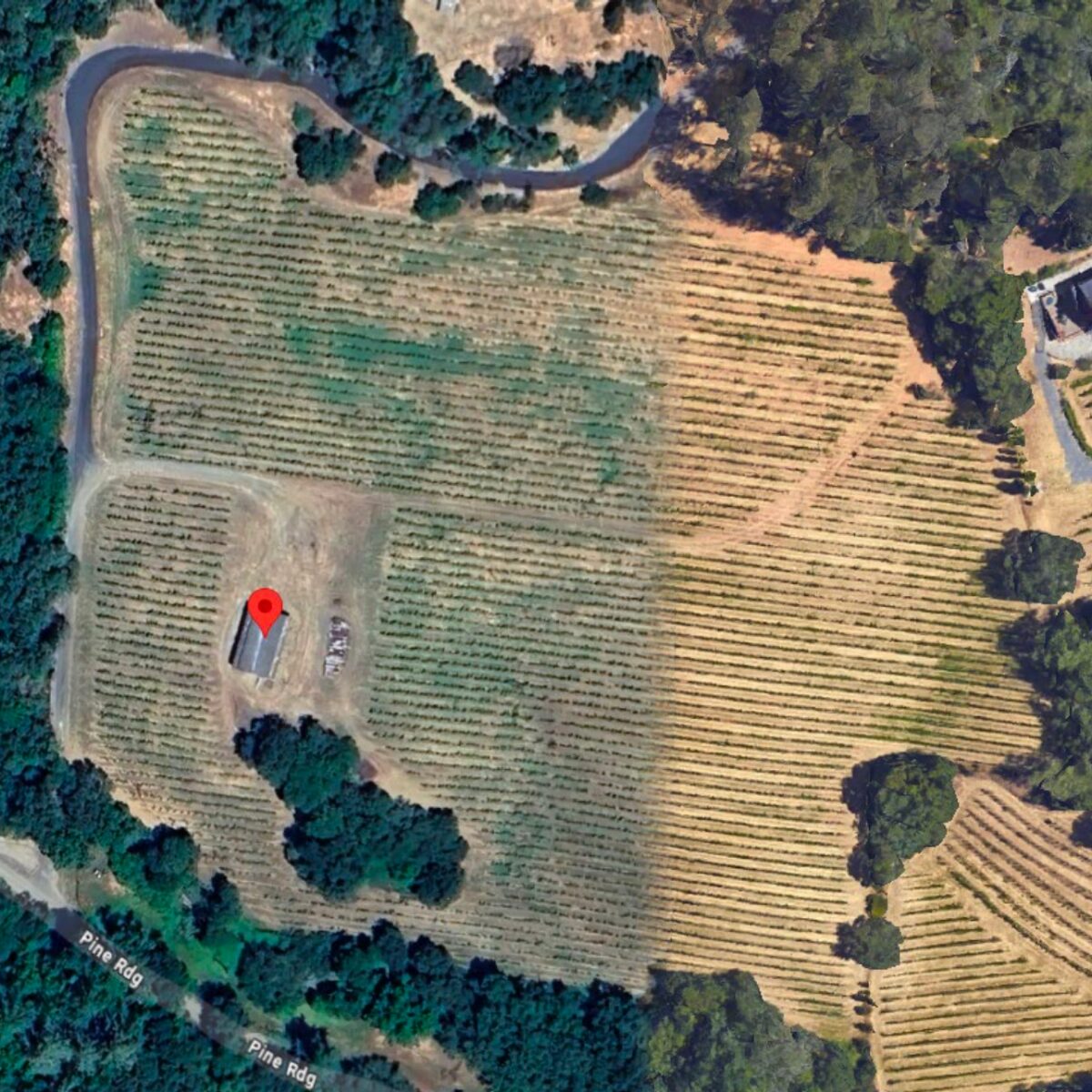 Closing: Purchase Vineyard