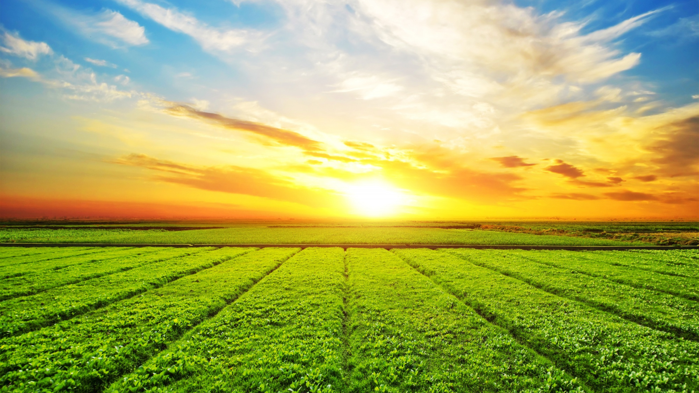 Farmland is the New ‘Safe Haven’ for CRE Investors Farmland is the New 'Safe Haven' for CRE Investors